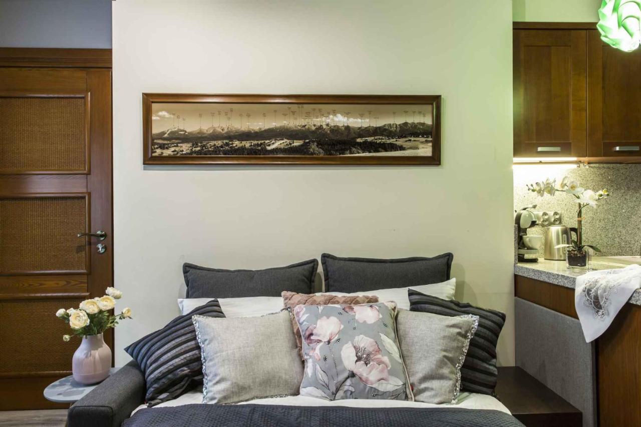Apartament De Lux Cicha Woda Закопане Экстерьер фото